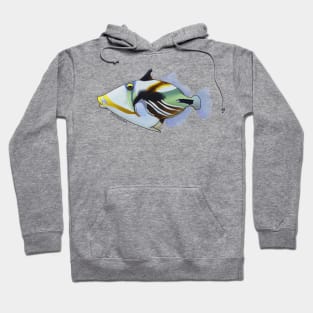 Reef Triggerfish Hoodie